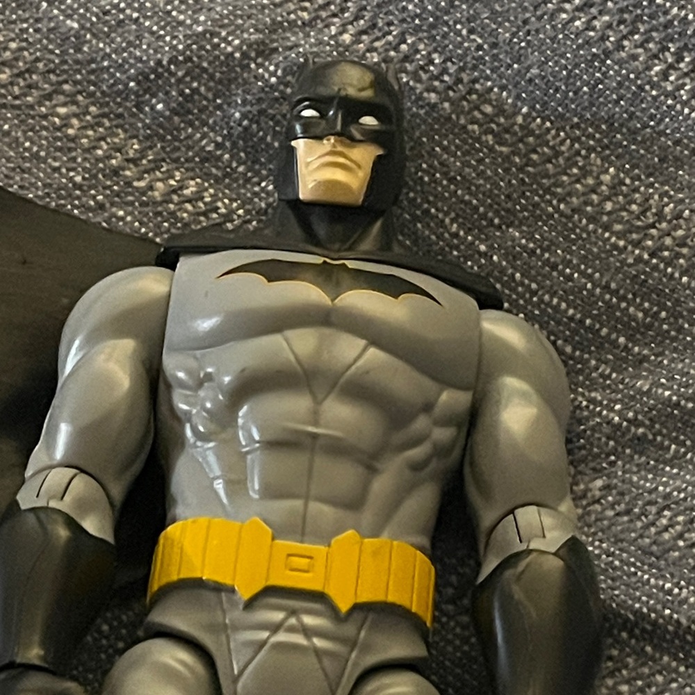 Batman~DC Comics Action Figure